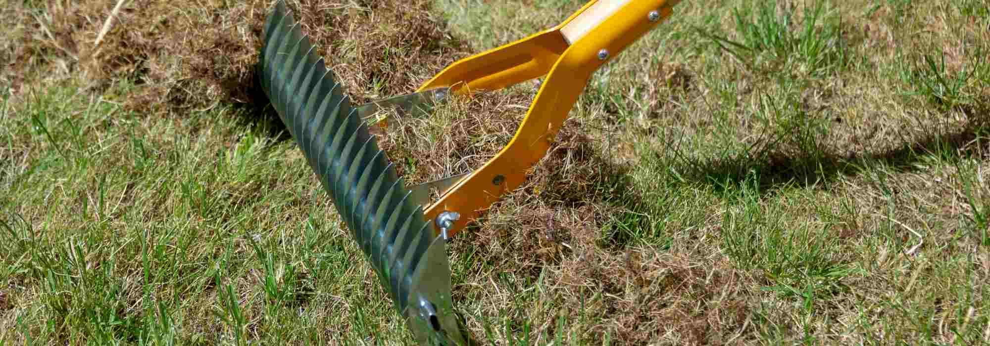 Manual scarifier: how to use it?