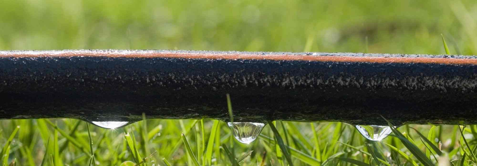 Watering with a porous hose