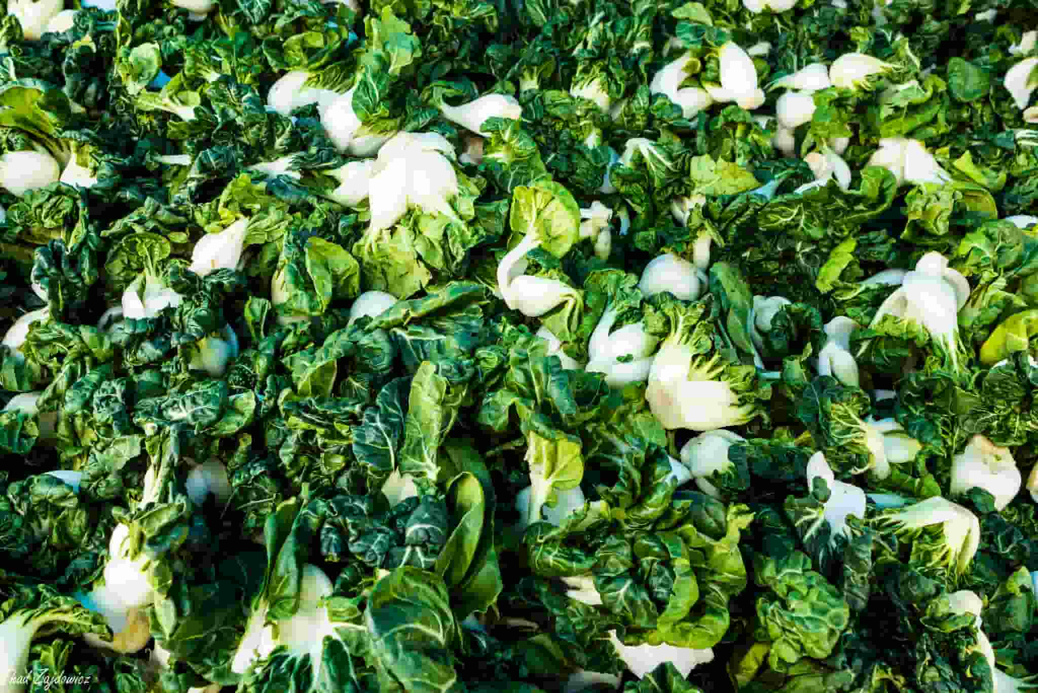 6 Chinese cabbages to discover