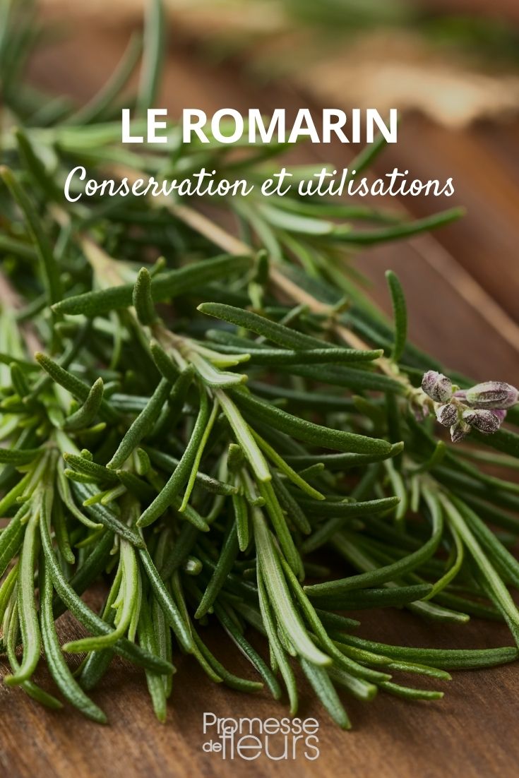 dried rosemary