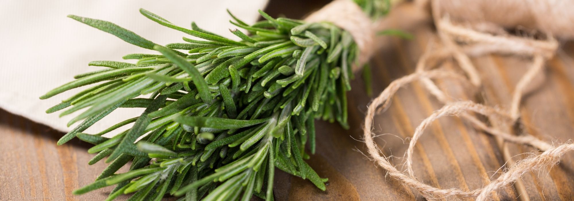 Rosemary: how to preserve and use it?