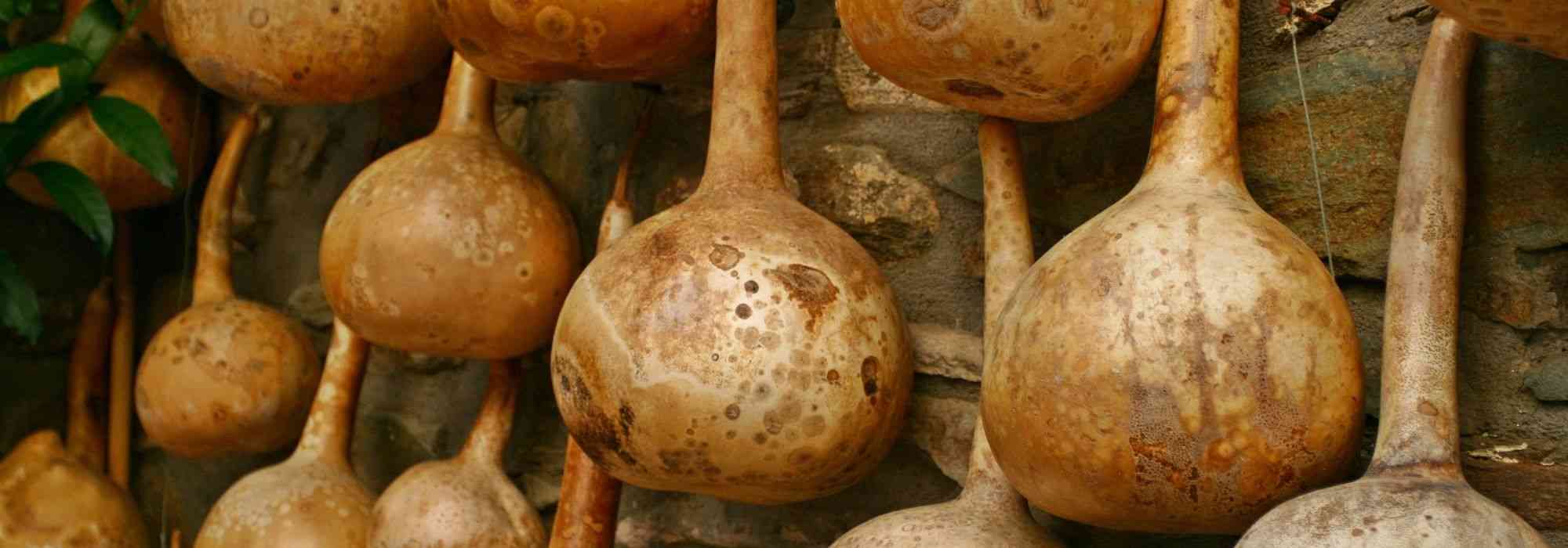 How to dry gourds?