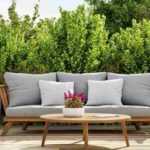 Blocking the wind on a terrace: the plants you need!