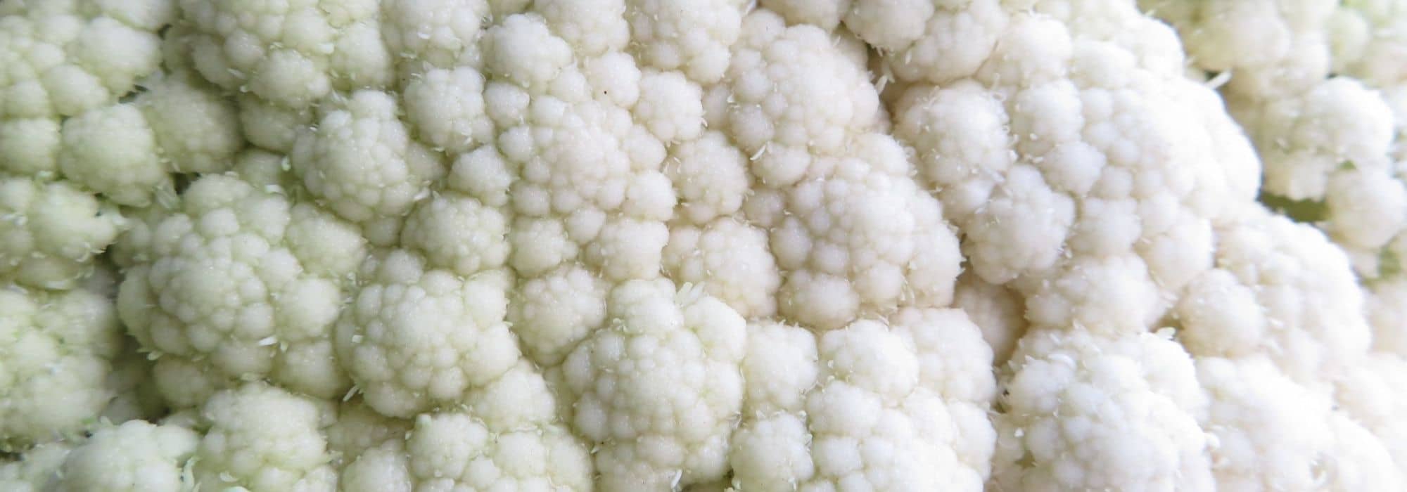 6 cauliflowers to discover