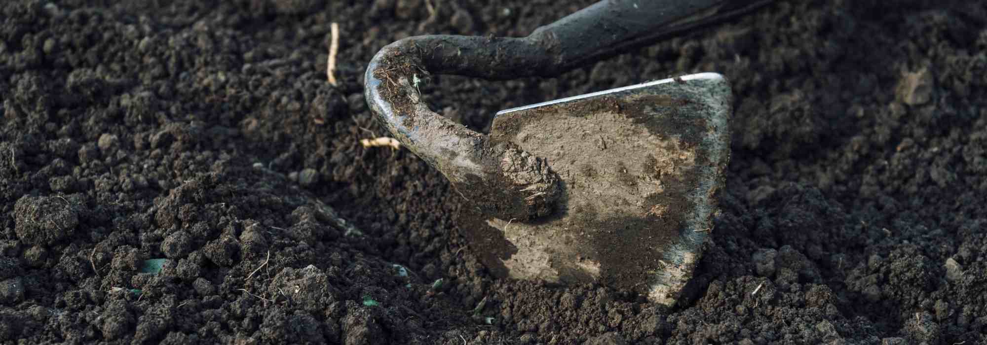 What is the purpose of a rake or a hoe?