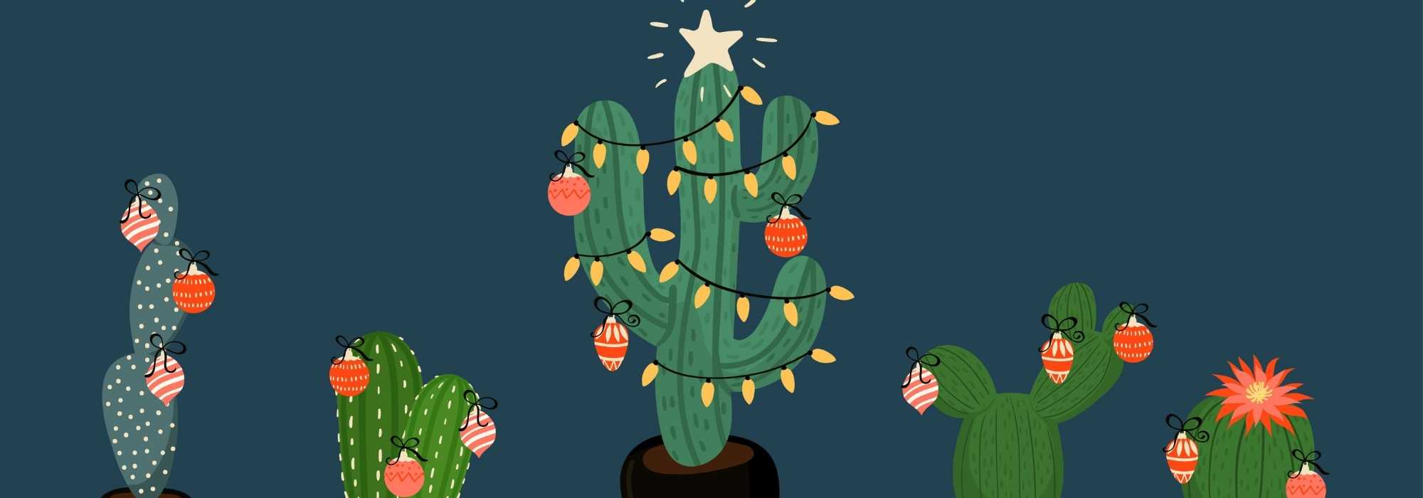 Our 7 alternatives to the Christmas tree