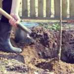 How to fail at planting your trees in 5 lessons?