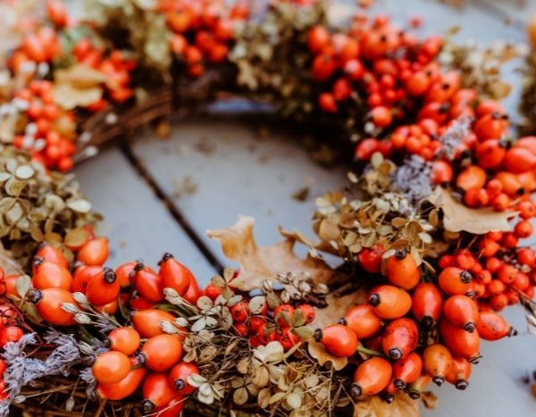 Make a Christmas wreath with rosehips