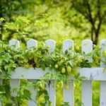 Training and staking hops