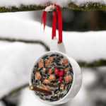 Make a hanging seed feeder for birds in winter