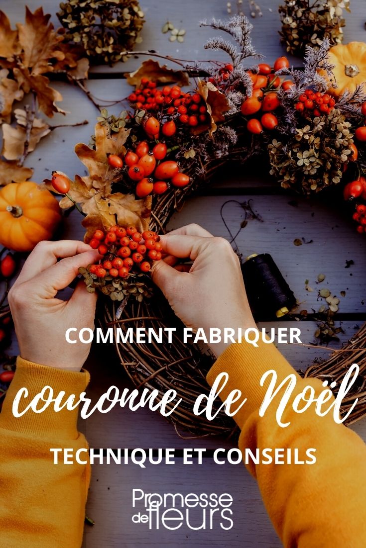 Christmas crown with hips