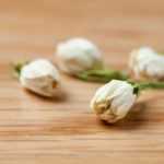 Dry jasmine flowers