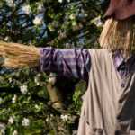 Designing a country garden