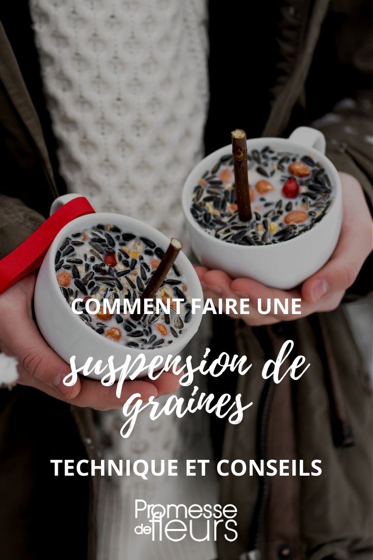 Winter Bird Seed Suspension