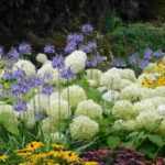 Pairing White Flowers