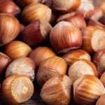 How to harvest and store hazelnuts?