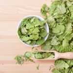 How to dry birch leaves?