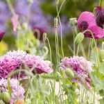 Pairing Pink Flowers