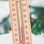 Late frosts, cold spring: what to do in the garden?