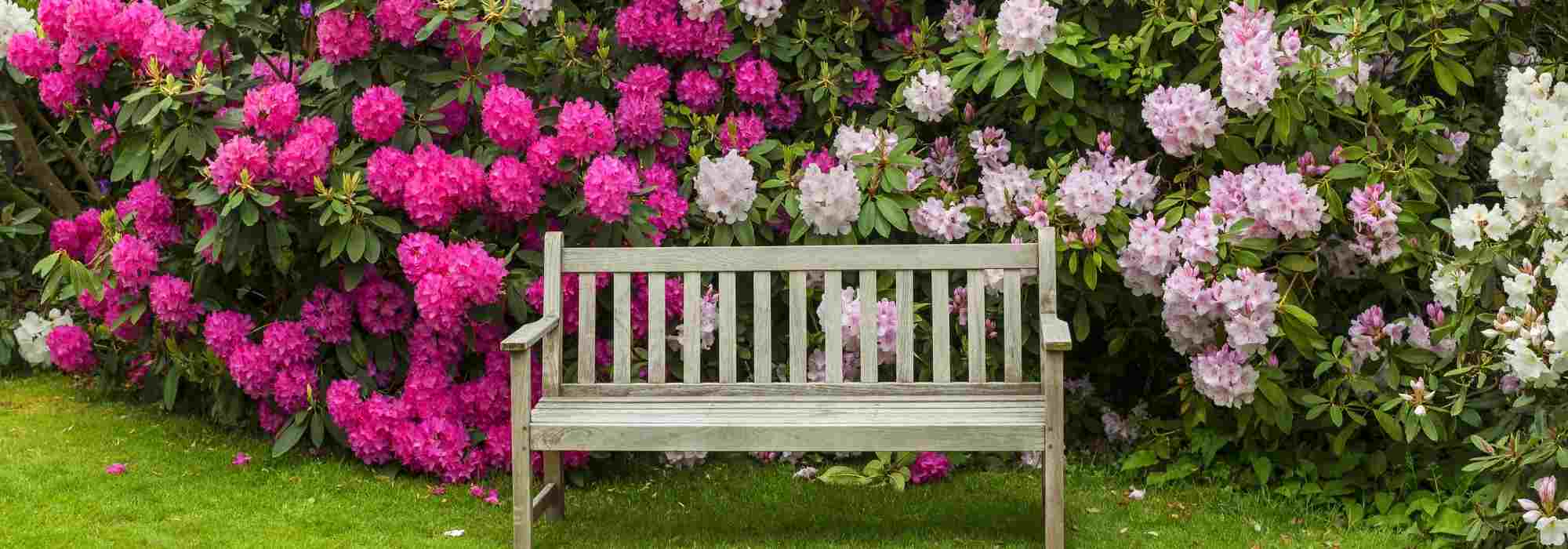 9 Landscape Designer Tips for Creating a Pink Garden