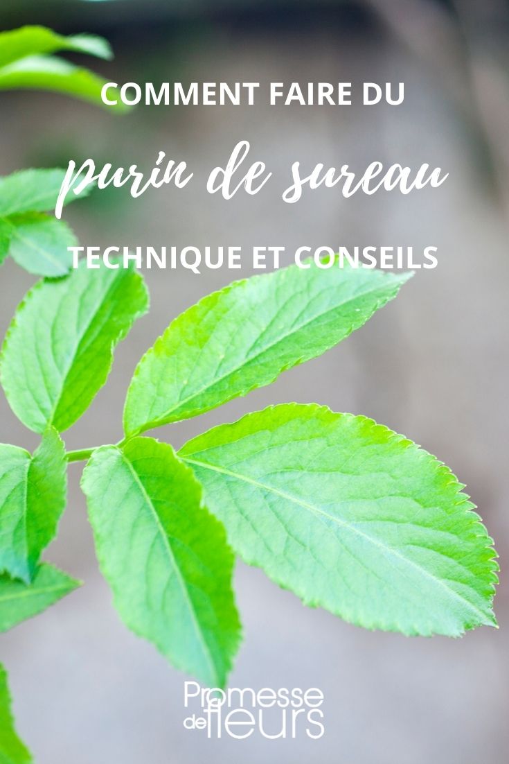 Elder Leaf Liquid Manure