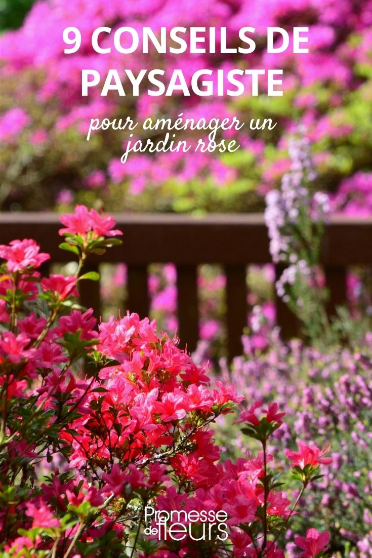 Creating a Pink-Themed Garden Design