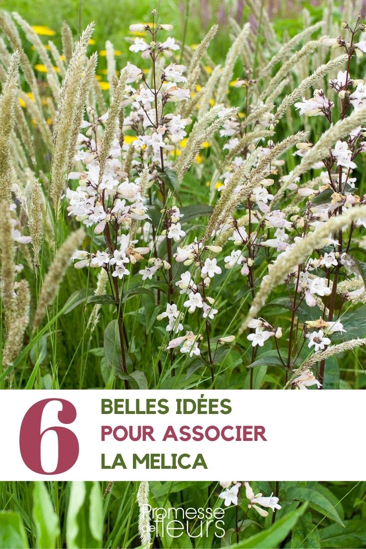 Pairing the Wood Melick