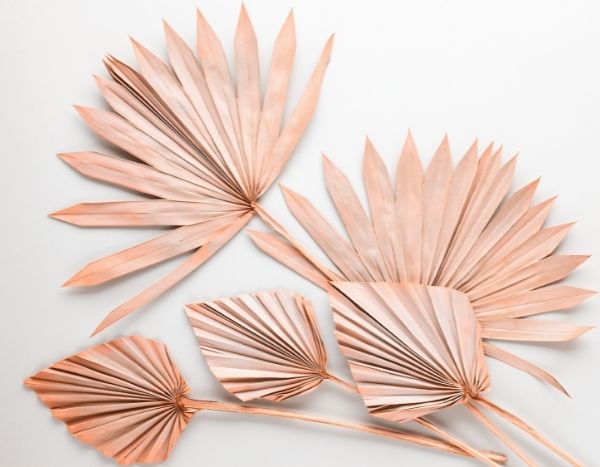 How to dry a palm leaf?