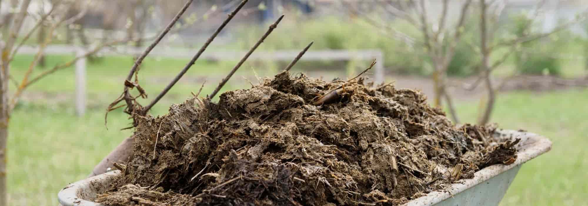 Manure in 10 Questions / Answers