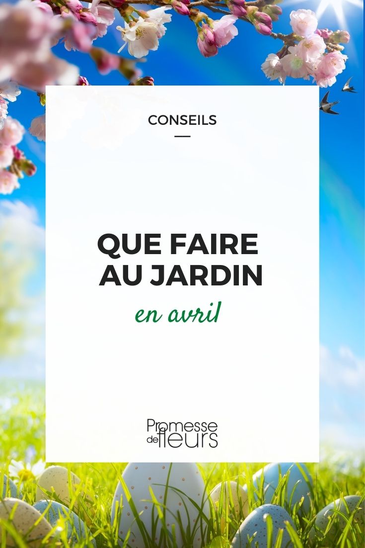 Gardening Tasks for Ornamental and Vegetable Gardens in April

April is a bustling month for gardeners, both in ornamental and vegetable plots. As spring fully sets in, it's a perfect time to start sowing, planting, and maintaining your garden to ensure a beautiful and bountiful season ahead. Here are some key tasks to focus on during this vibrant month.

### Ornamental Garden Tasks

1. **Pruning and Maintenance**
   - Prune spring-flowering shrubs like Forsythia and Philadelphus after they have bloomed to encourage new growth and flowering next year.
   - Deadhead spent flowers from bulbs but allow the foliage to die back naturally to feed the bulbs for next season.

2. **Planting and Sowing**
   - April is ideal for planting summer-flowering bulbs such as Gladiolus and Dahlias.
   - Start sowing hardy annuals directly into the soil. Ensure the risk of frost has passed before sowing tender varieties.

3. **General Care**
   - Begin regular feeding of all plants with a balanced fertilizer to promote healthy growth.
   - Keep an eye on pest activity and treat infestations early to prevent damage.

### Vegetable Garden Tasks

1. **Soil Preparation**
   - Continue to prepare your vegetable beds by removing weeds and adding organic matter like compost or well-rotted manure.
   - Check soil temperature; most summer crops require warm soil for optimal growth.

2. **Planting and Sowing**
   - Direct sow hardy vegetables such as carrots, beets, and lettuce.
   - Start tender vegetables like tomatoes and peppers indoors or in a greenhouse to transplant later.

3. **Crop Rotation and Management**
   - Implement crop rotation to minimize pest and disease build-up and to optimize nutrient use.
   - Thin out seedlings from earlier sowings to allow for proper growth.

### General Tips

- Water plants thoroughly and consistently as the weather warms up, especially in dry spells.
- Mulch beds to conserve moisture, suppress weeds, and regulate soil temperature.
- Keep a gardening diary to track plant progress and note any particular issues or successes for future reference.

April is a month full of promise and potential in the garden. By keeping up with these tasks, you'll set the stage for a successful and enjoyable gardening season. Happy gardening!