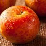 Pluot : planting, cultivation, harvest
