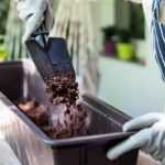 How to succeed with your window boxes?