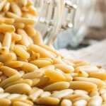 How to harvest pine nuts?