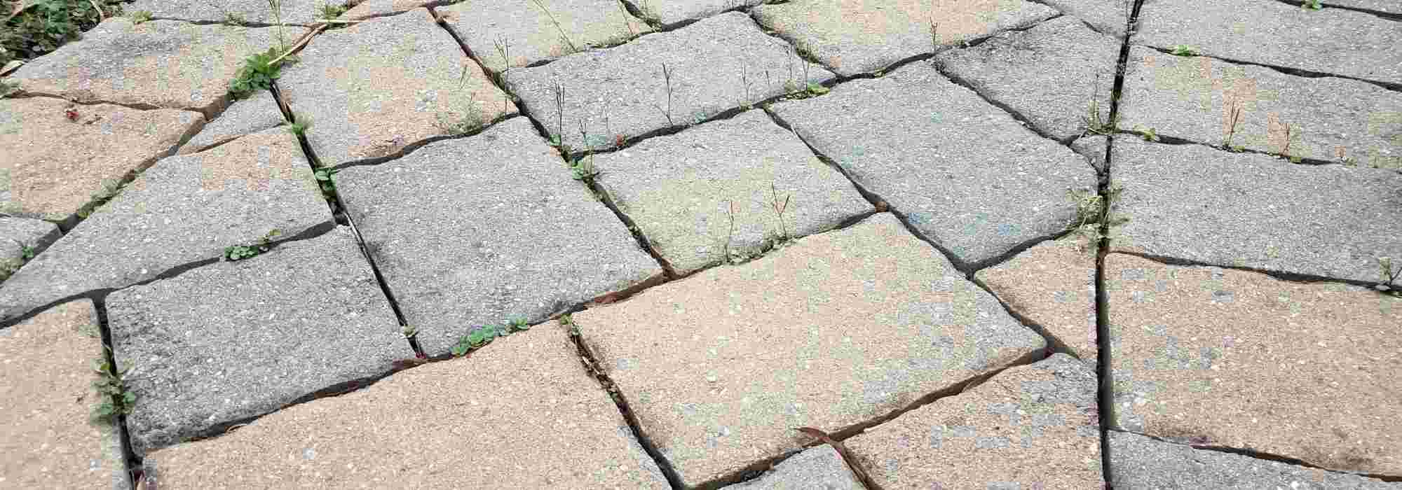 A weed-free pathway: how to achieve it?