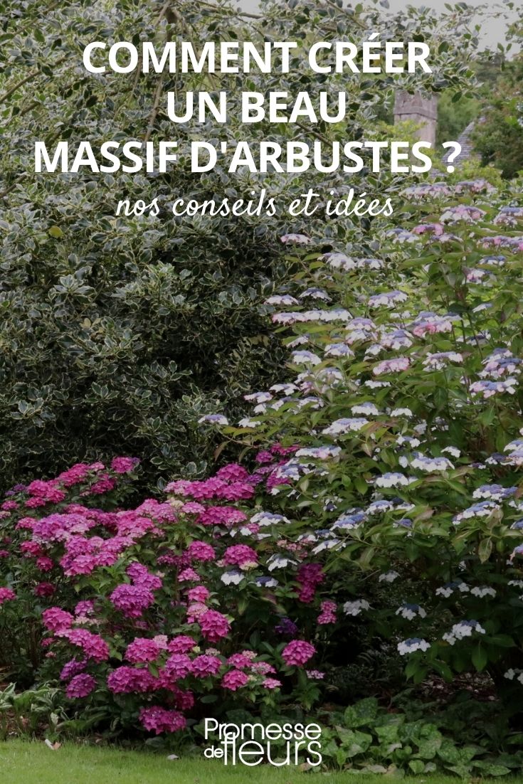 Tips and Ideas for Creating a Bush Border