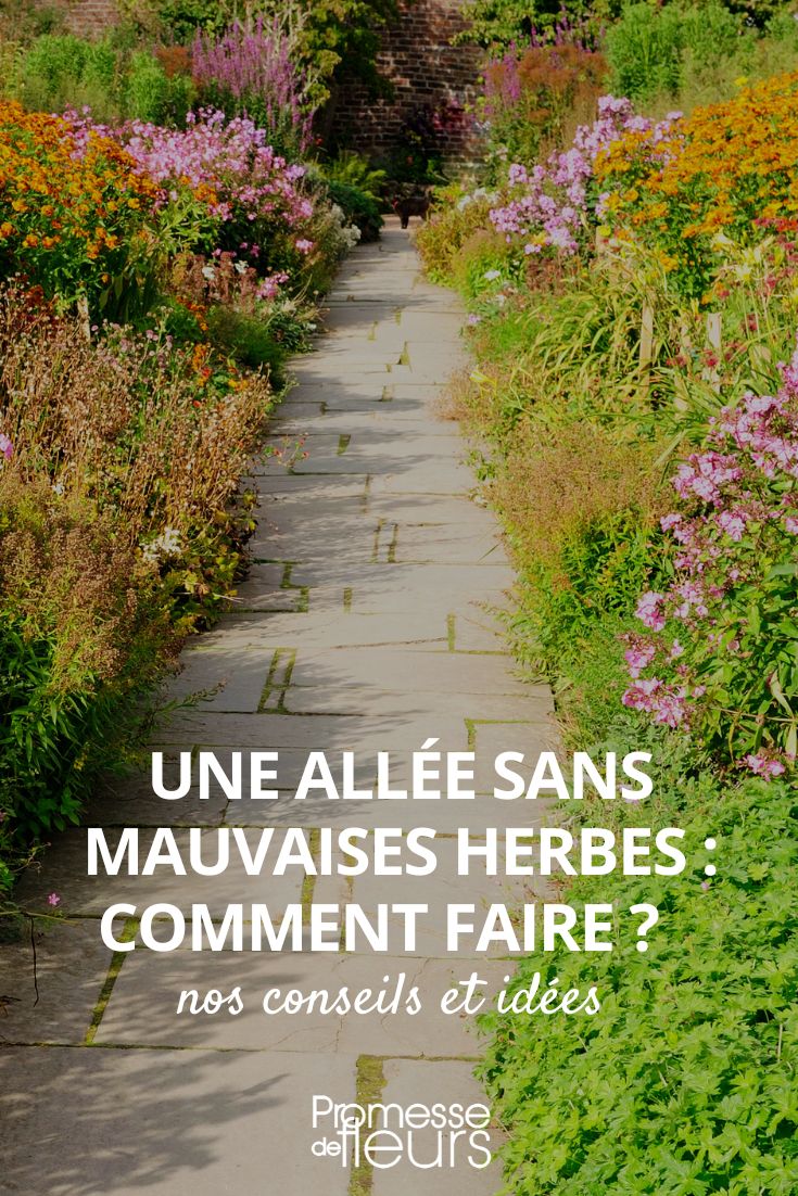 weed the garden path