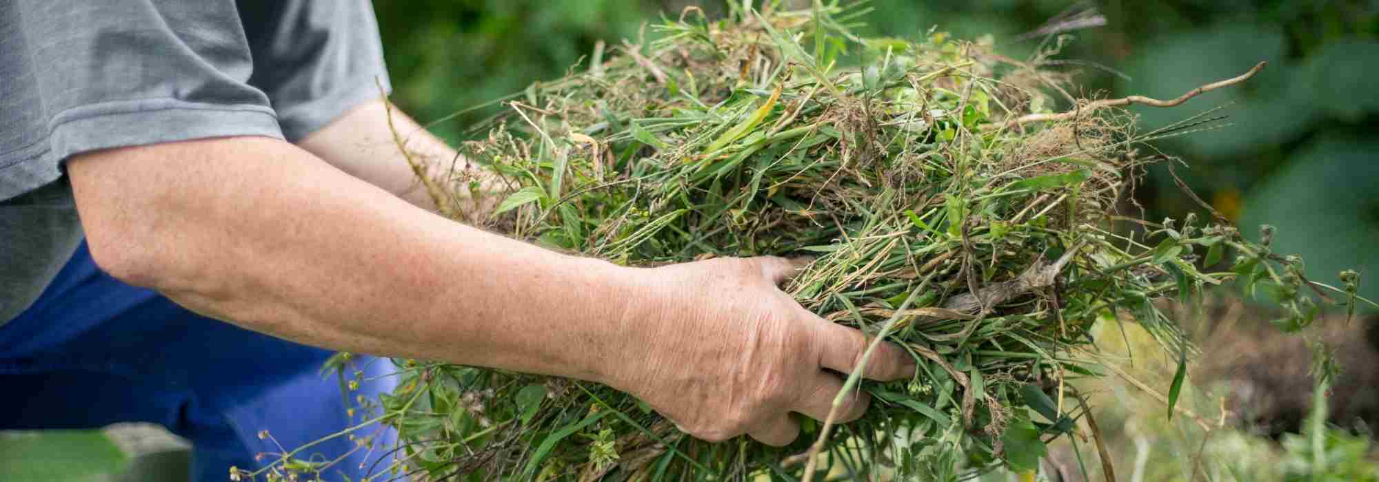 Can you compost "weeds"?