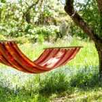 Greening to cool the ambient air