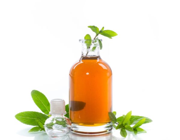 Homemade mint syrup: recipe
