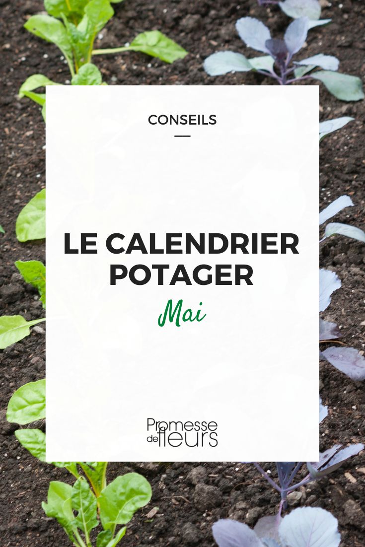 [plant_calendar month="May"]