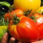 Vegetable garden calendar - July
