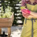 Vegetable garden calendar - May