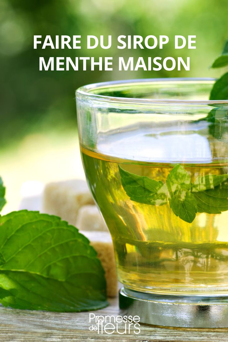 [plant="Mint"] syrup recipe

If you have a {glossary} garden, you can easily make your own [product="syrup" plant="Mint"] at home. Here's a simple recipe to enjoy the refreshing taste of mint in your drinks:

Ingredients:
- 1 cup fresh {glossary="Mint"} leaves
- 1 cup water
- 1 cup sugar

Instructions:
1. In a saucepan, combine the water and sugar. Heat over medium heat until the sugar is completely dissolved.
2. Add the fresh {glossary="Mint"} leaves to the syrup mixture.
3. Simmer for about 10 minutes, stirring occasionally.
4. Remove from heat and let it cool completely.
5. Strain the syrup to remove the {glossary="Mint"} leaves.
6. Store the {glossary="Mint"} syrup in a clean bottle in the refrigerator.

Enjoy your homemade [product="Mint"] syrup in cocktails, lemonades, or even drizzled over desserts for a touch of freshness!