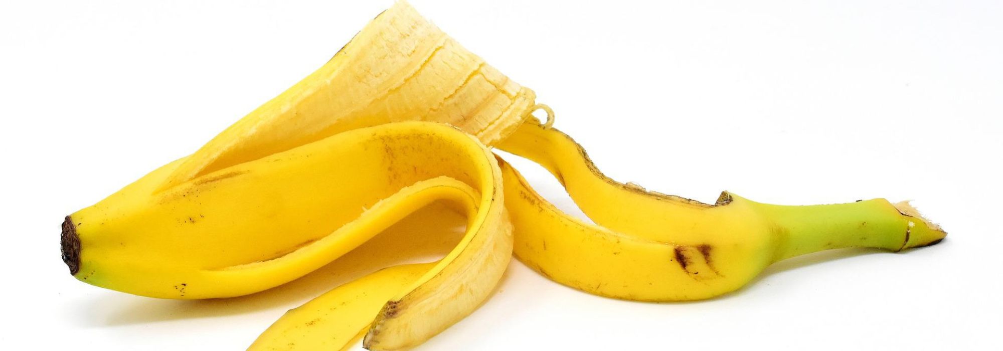 Zero waste: banana peel in the garden