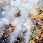 Burning green waste: what does the law say?