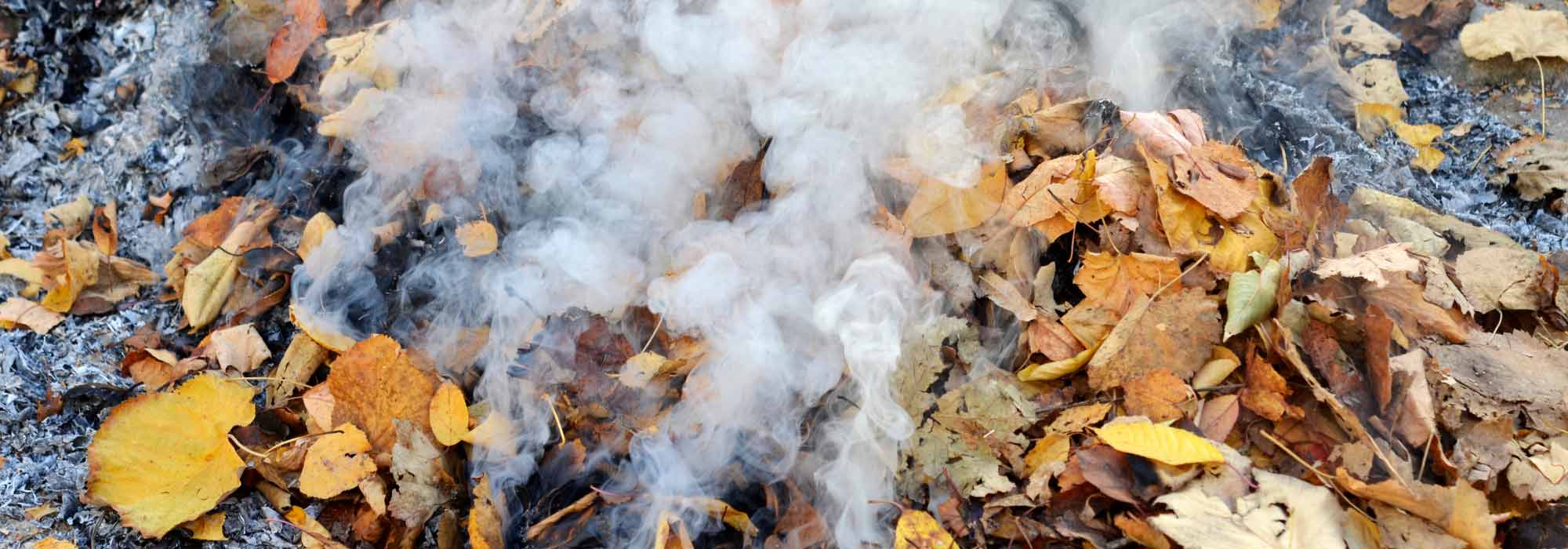 Burning green waste: what does the law say?