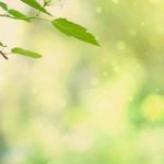 Creating a secret garden