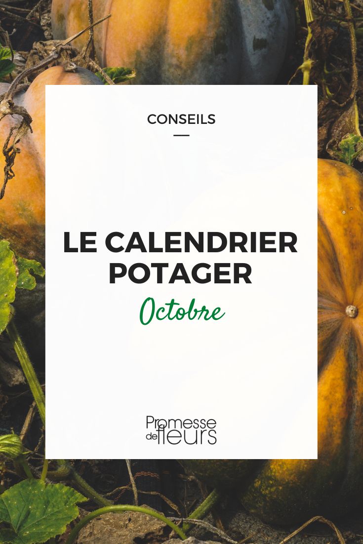 [planting_guide month="october"]