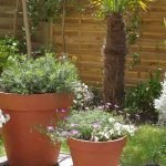How to arrange pots on a terrace?