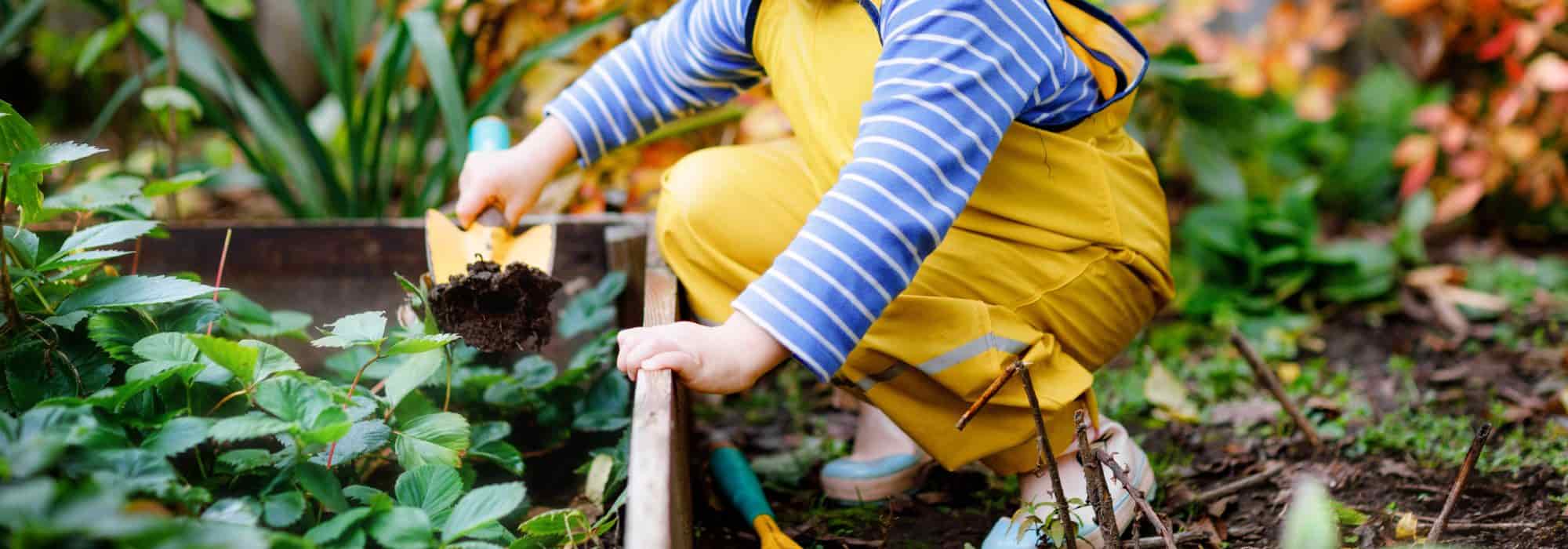 7 tips for starting a garden with children